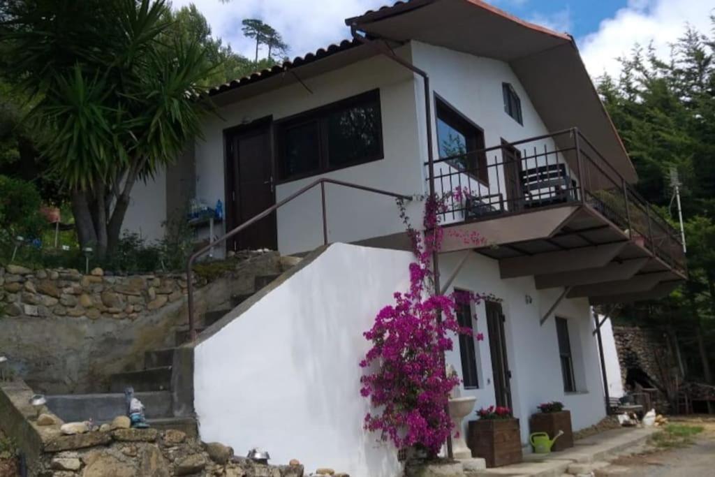 Penzion Detached House With Garden And Sea View Sanremo Exteriér fotografie